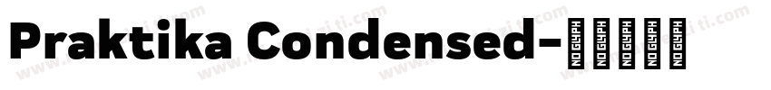 Praktika Condensed字体转换